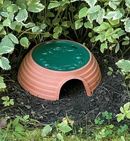 Lee Valley Toad House