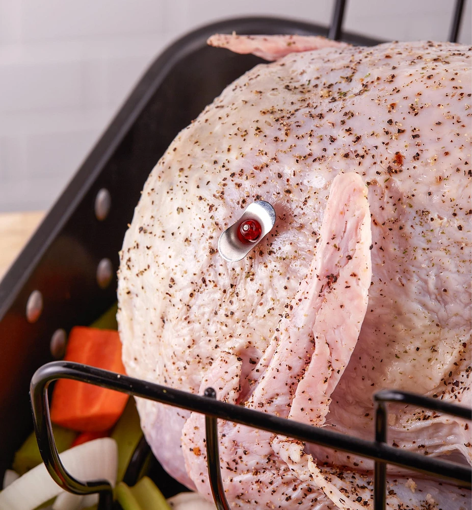 Thermomètres à ressort réutilisables pour dinde