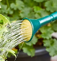 Haws 2 Litre Plastic Watering Can