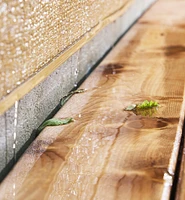 Deck-to-Wall Spacers