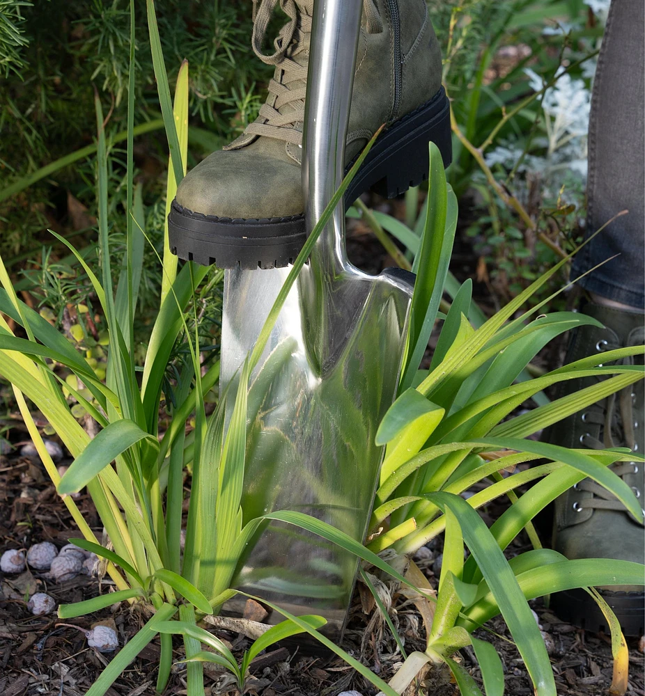 Transplant Spade