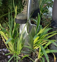 Transplant Spade