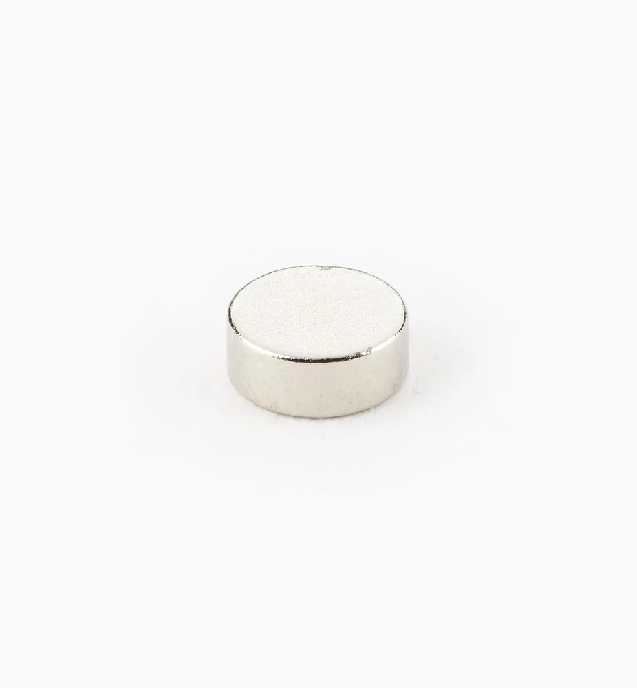 Rare-Earth Circular Magnets