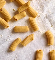 Marcato Pasta Extruder