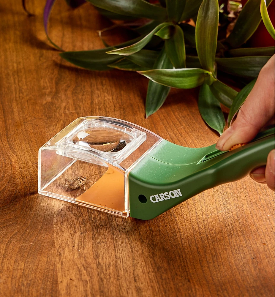 Bug Magnifier
