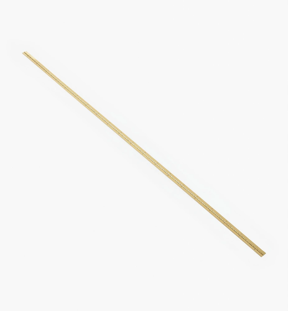 Pin-Hole Piano Hinges