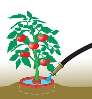 Tomato Craters