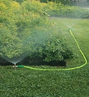 In-Line Spot Sprinkler