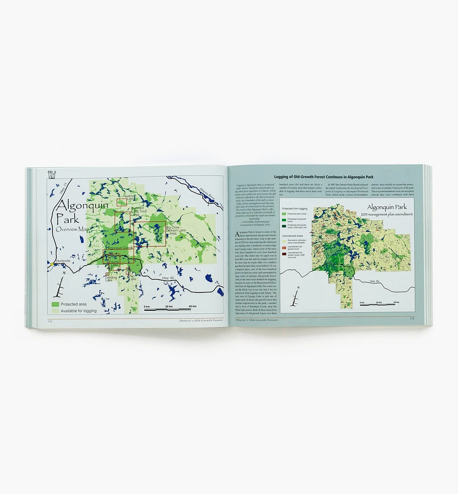 Ontario's Old-Growth Forests