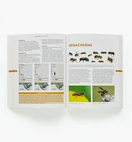 The Bees in Your Backyard