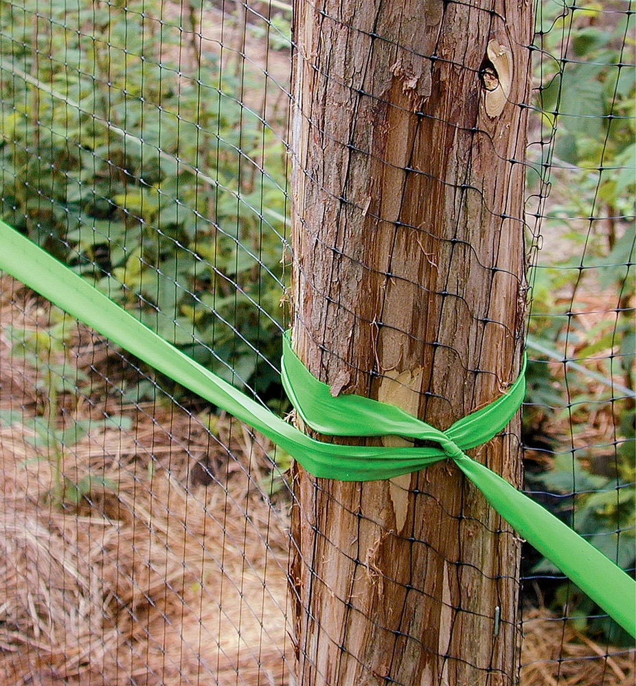 Deer Fence