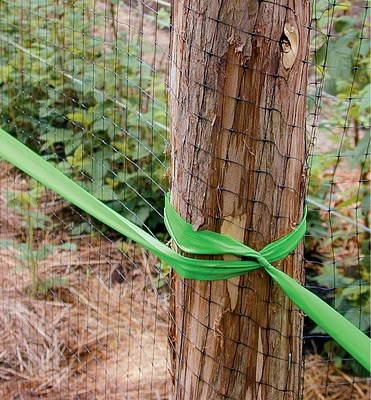 Deer Fence
