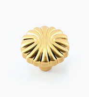 Shell Motif Knobs
