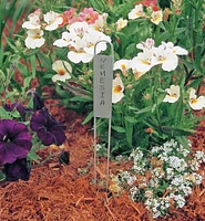 Flower and Plant Markers