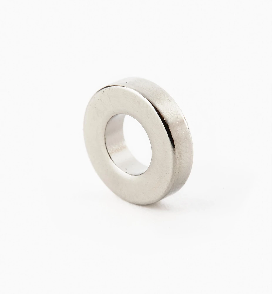 Rare-Earth Ring Magnets