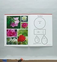 Carving Realistic Flowers, Revised Edition