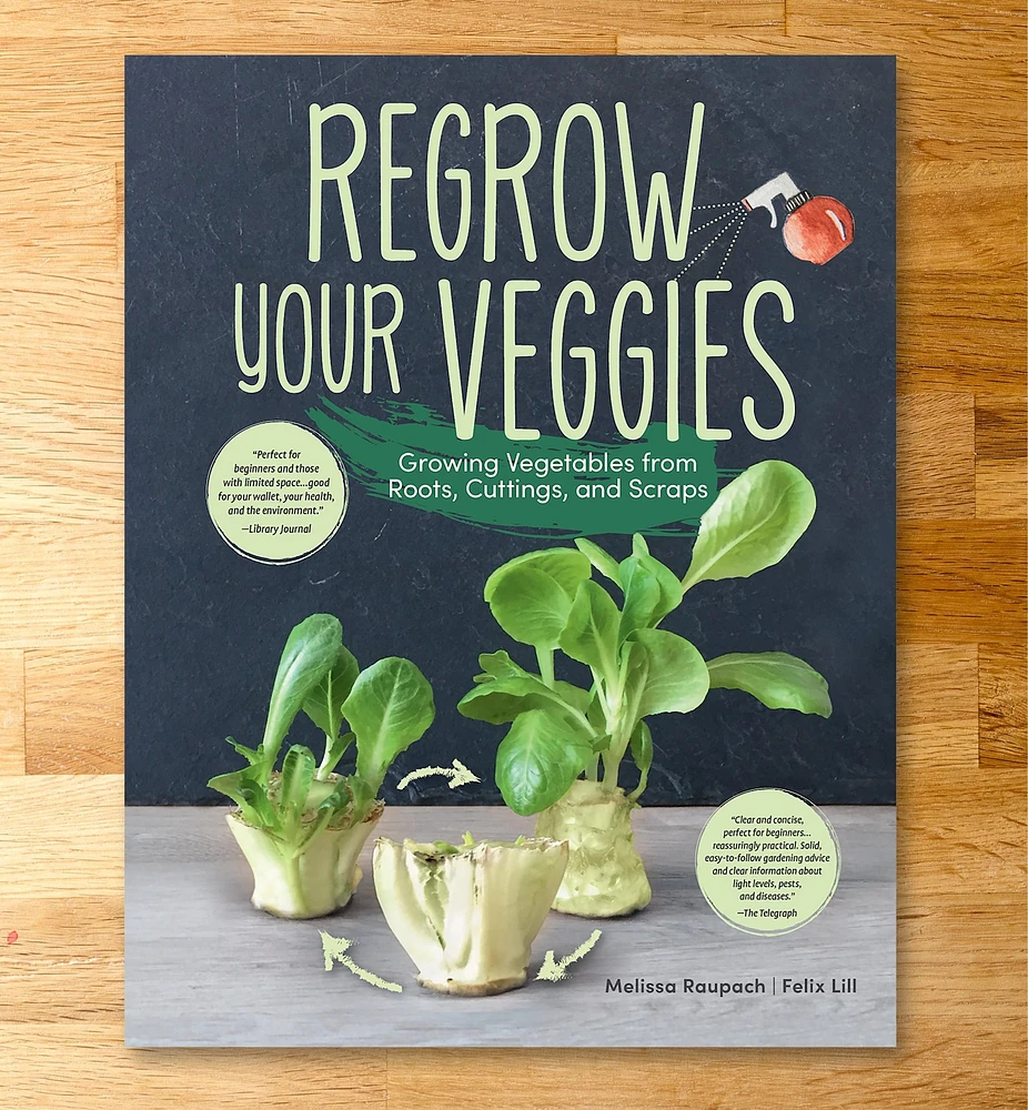 Regrow Your Veggies