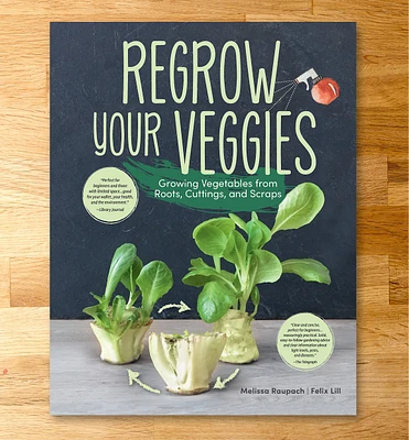 Regrow Your Veggies