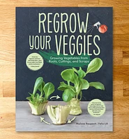 Regrow Your Veggies