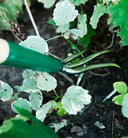 Lee Valley Claw Cultivator