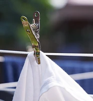 Lifetime Clothespins