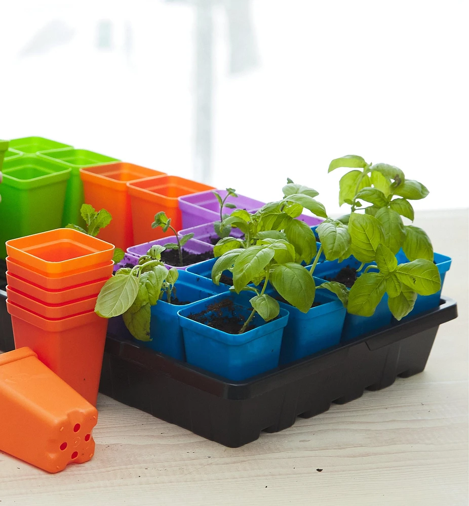 2 1/2" Multicolor Pots