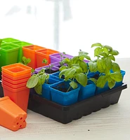 2 1/2" Multicolor Pots