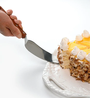 Classic Stainless-Steel Cake Knife and Server