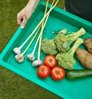 Giant Plant Tray