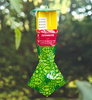 Japanese Beetle Trap