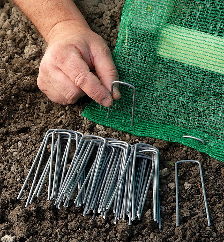 Garden Staples