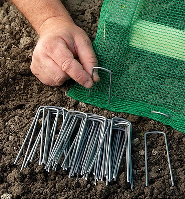 Garden Staples