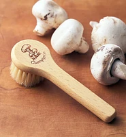 Brosse à champignons