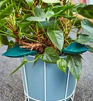 Feuilles d'arrosage en plastique