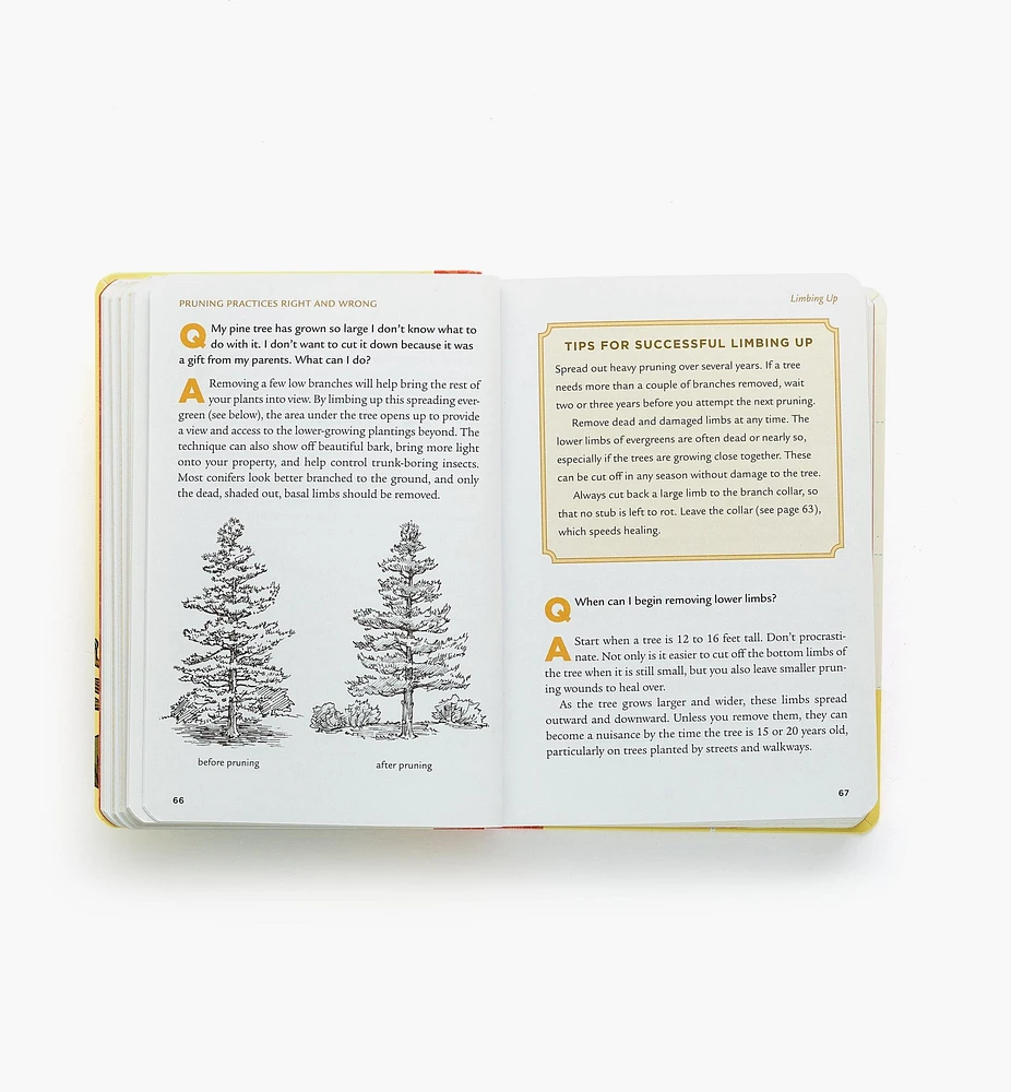 Pruning Answer Book