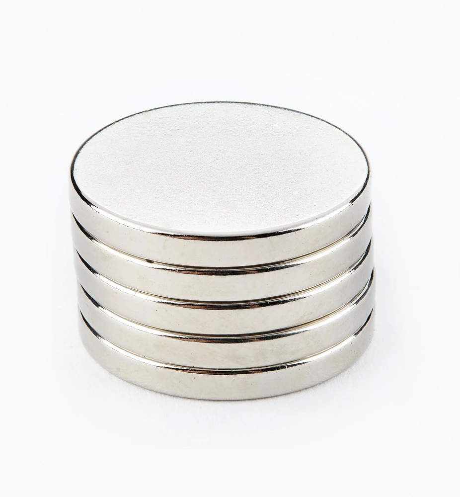 Rare-Earth Circular Magnets