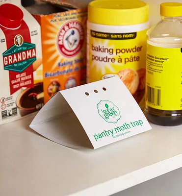 Pantry Moth Traps