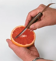 Grapefruit Knife