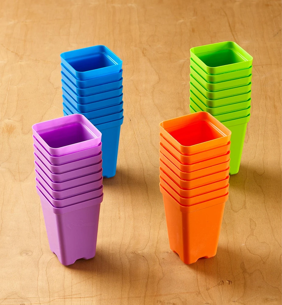 2 1/2" Multicolor Pots