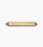Georgian Handle Escutcheon