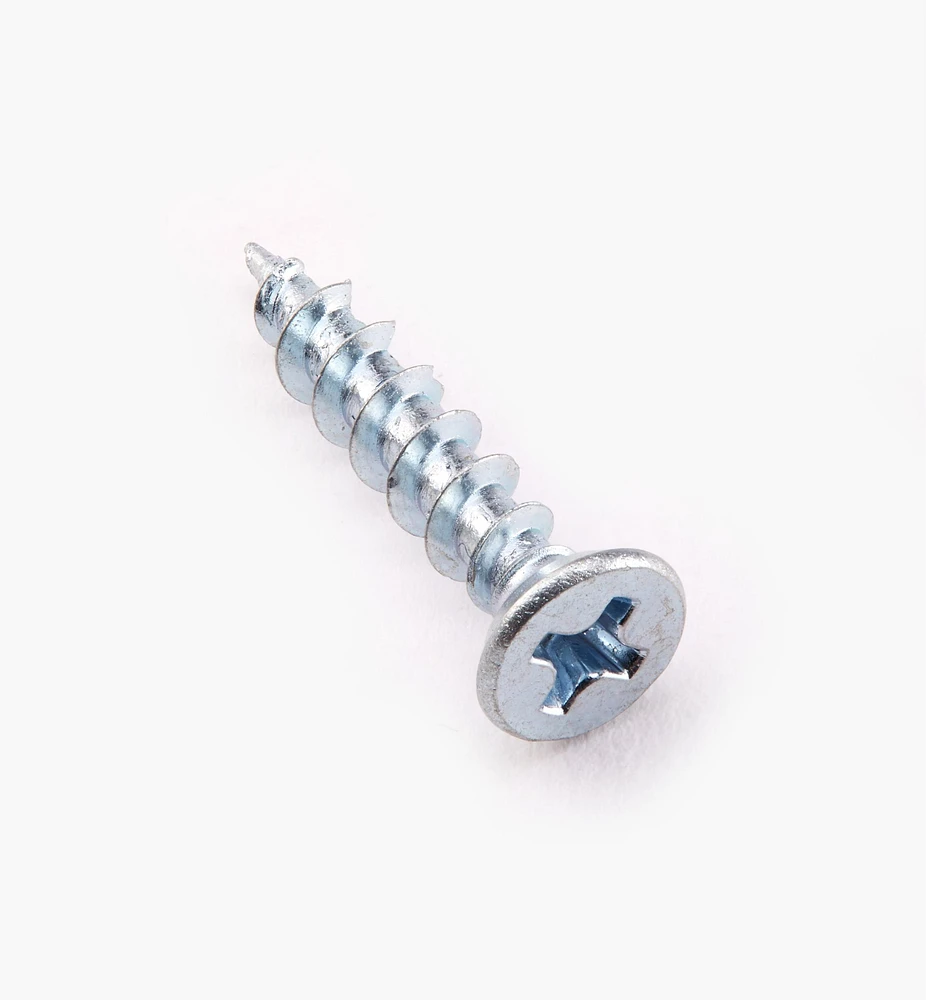 Zinc-Plated Hinge Screws