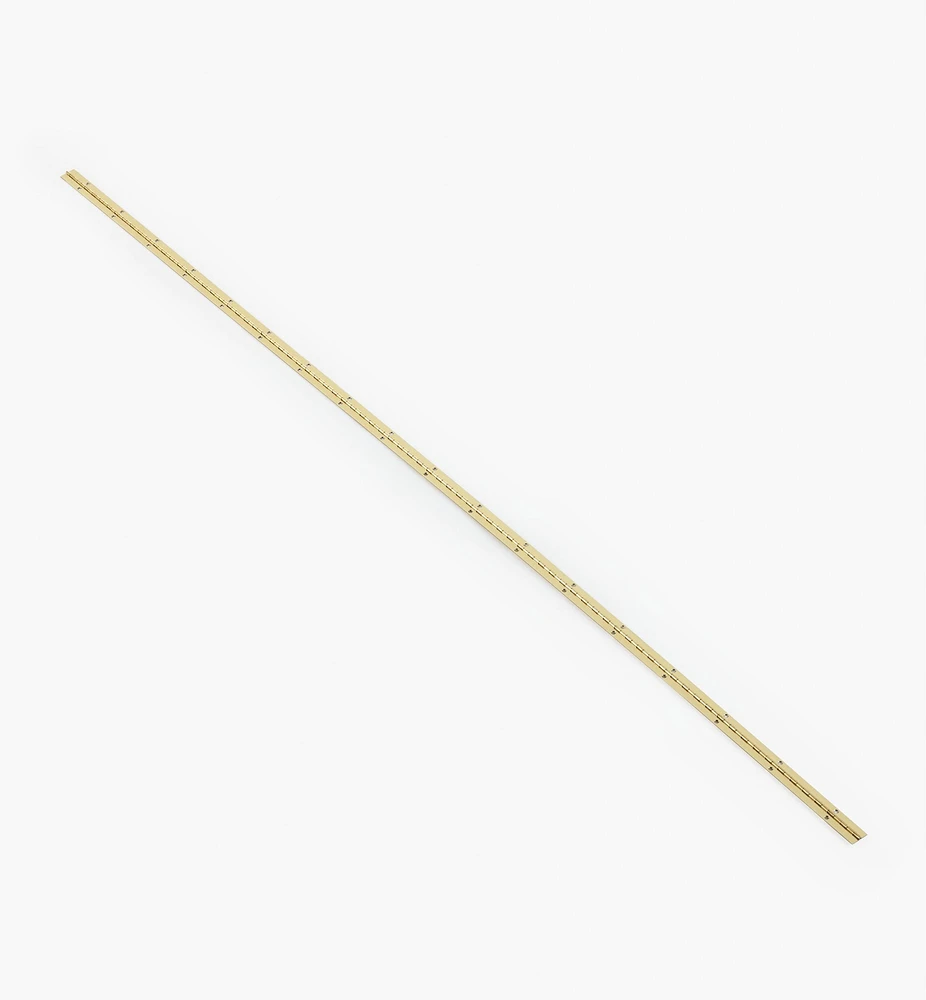 Screw-Hole Piano Hinges