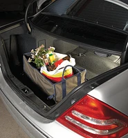 Trunk Organizers