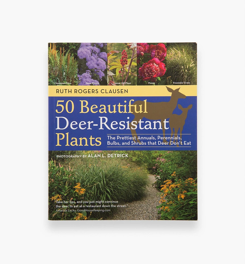 50 Beautiful Deer-Resistant Plants