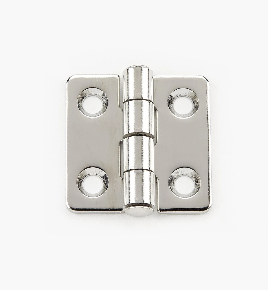 Standard Rectangular Stainless-Steel Hinges