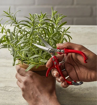 Set of 2 Mini Garden Shears