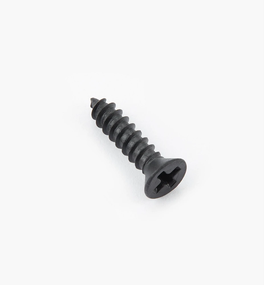 Finished Steel Screws