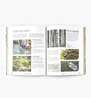 Forest School Adventure