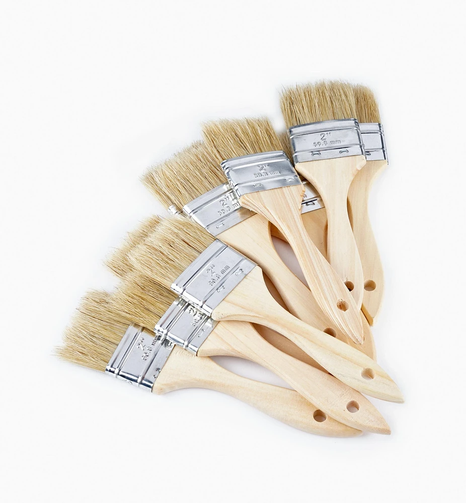 Disposable Natural-Bristle Brushes