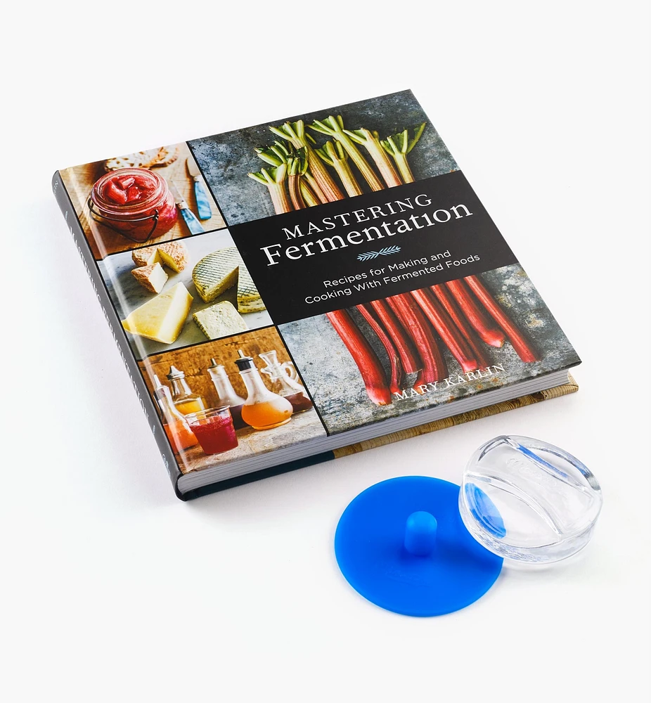 Fermenting for Beginners